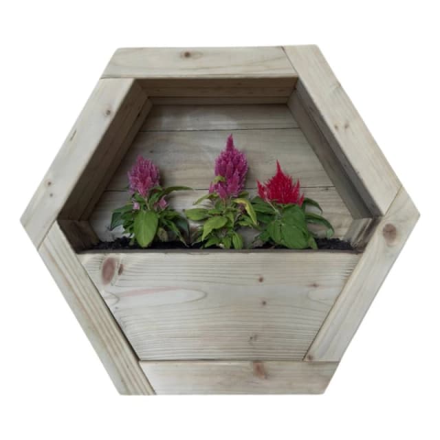 Buttercup Farm Large Hanging Wooden Hexagon Wall Planter - L16 x W54 x H47cm in Light Brown Light Brown Unisex
