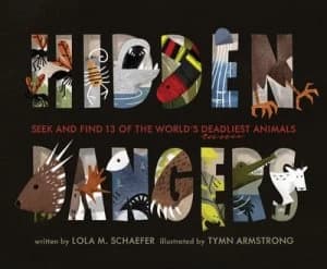 Hidden dangers by Lola M Schaefer